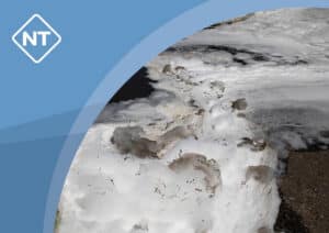 PFAS-Umstellung bei Sprinkleranlagen